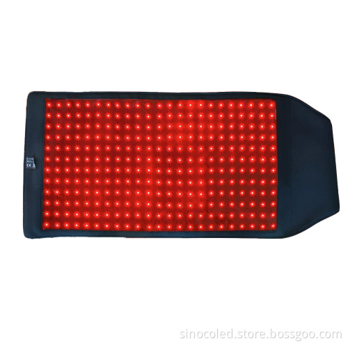 Red Light Therapy Veterinary Instruments for Equine and Canine Care